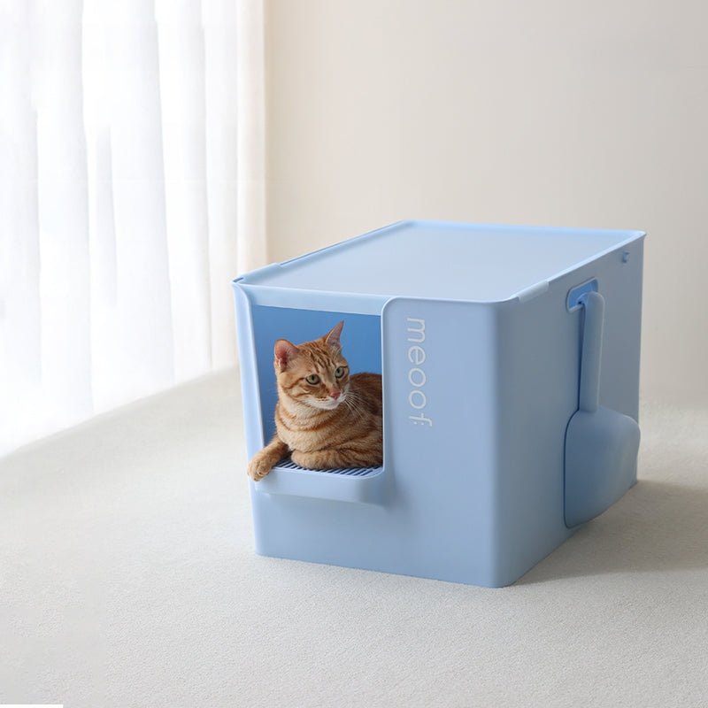 Extra Large Semi-Enclosed Cat Litter Box with Step & Scoop Set