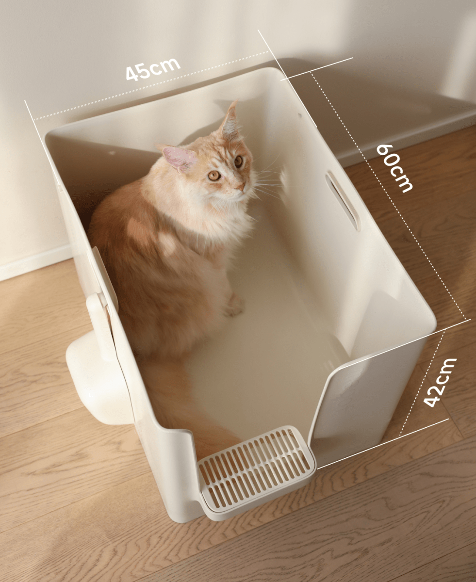 Extra Large Semi-Enclosed Cat Litter Box with Step & Scoop Set