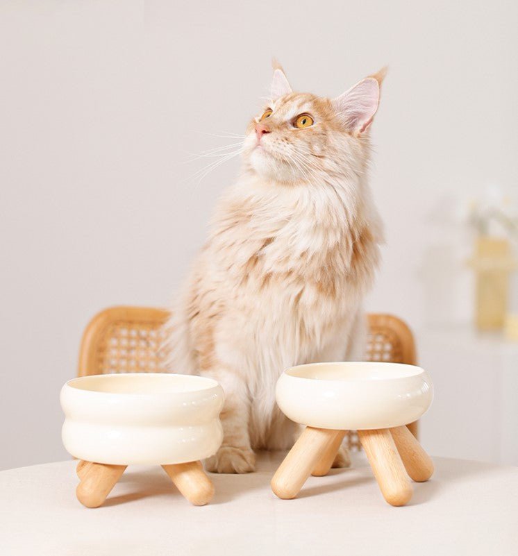 Gulu Elevated Ceramic Pet Food Bowl with Wooden Stand